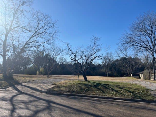 0.71 acres in Van Zandt County - photo 2