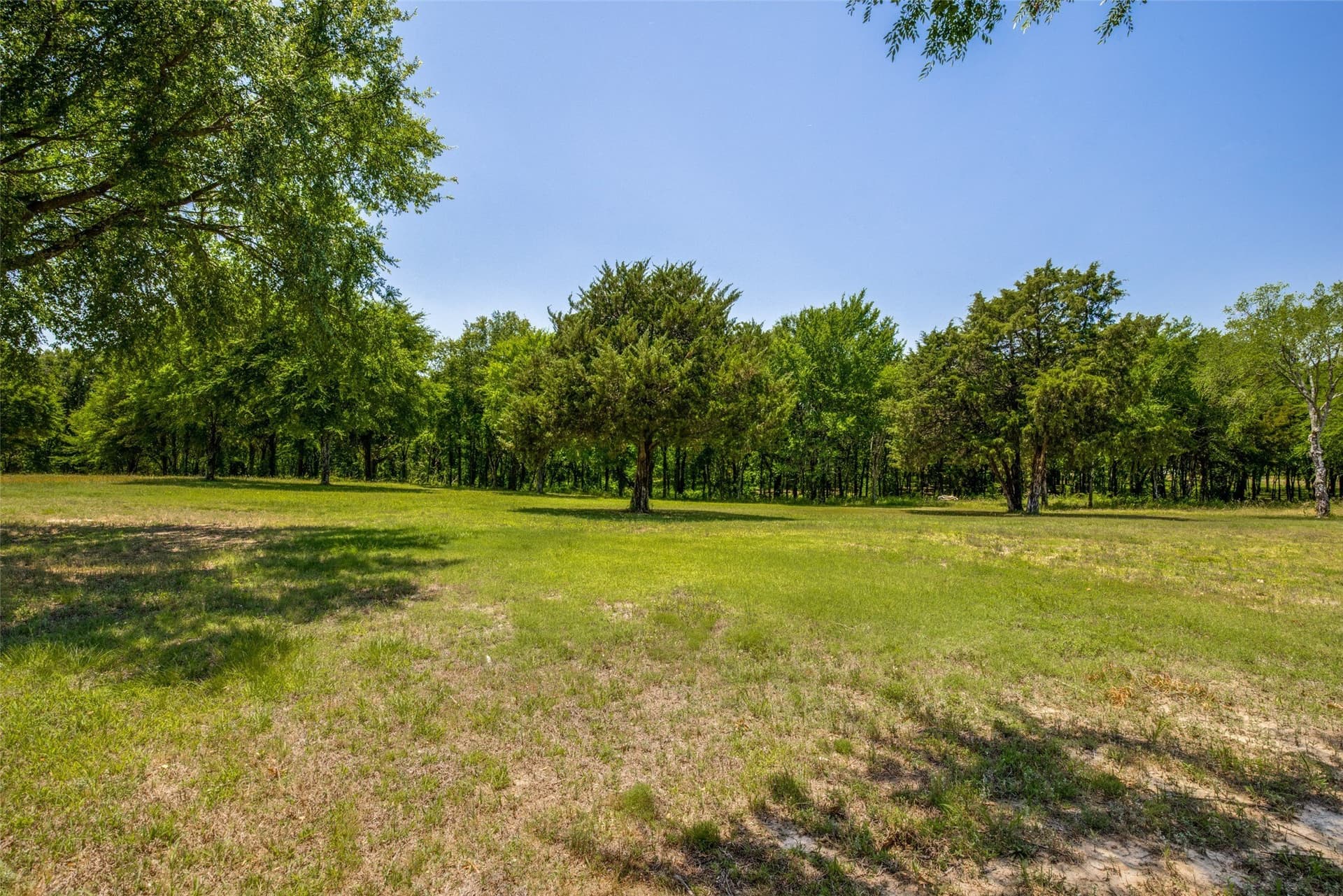0.55 acres in Kaufman County gallery image 3