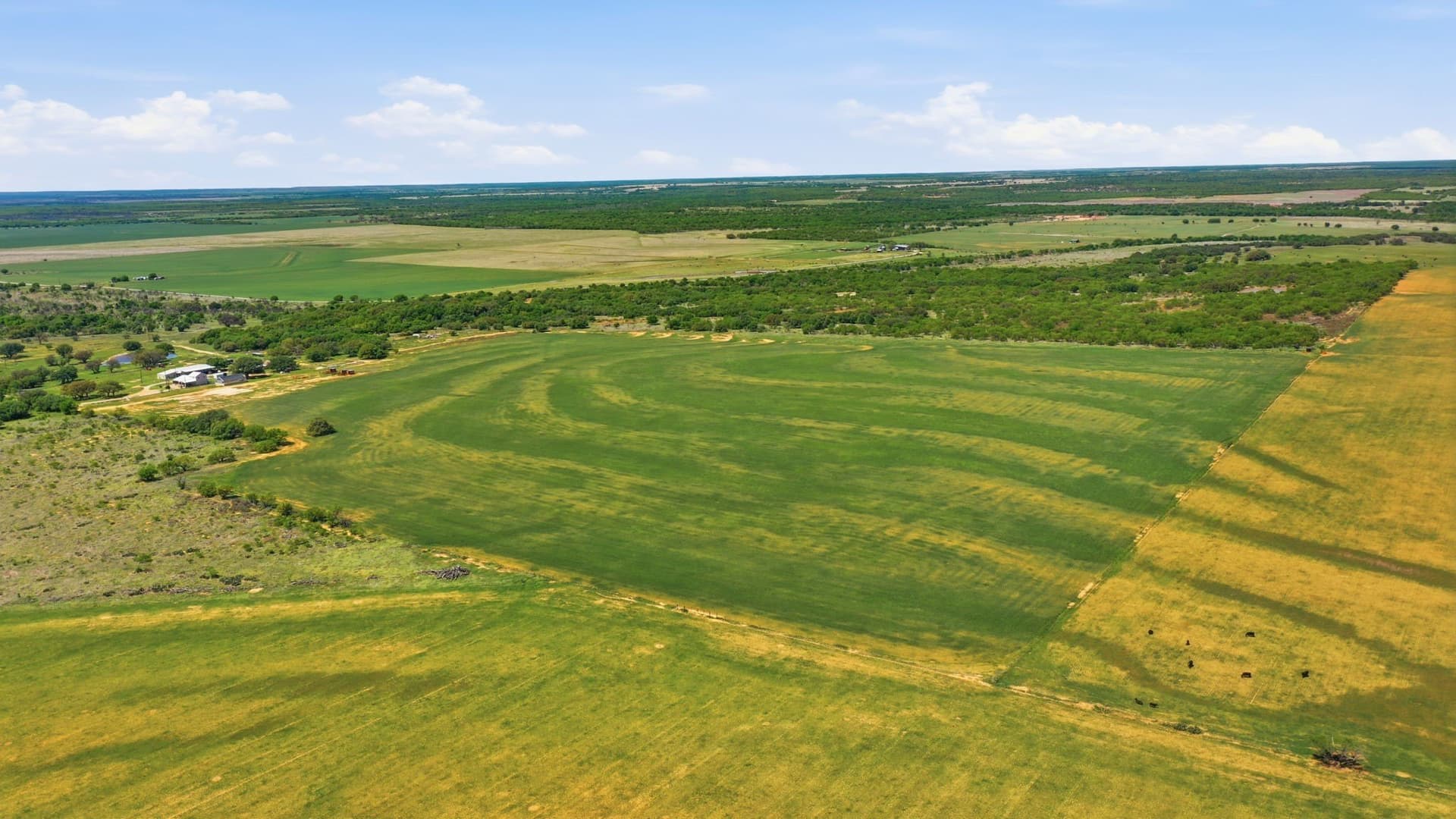 292 acres in Young County - photo 13