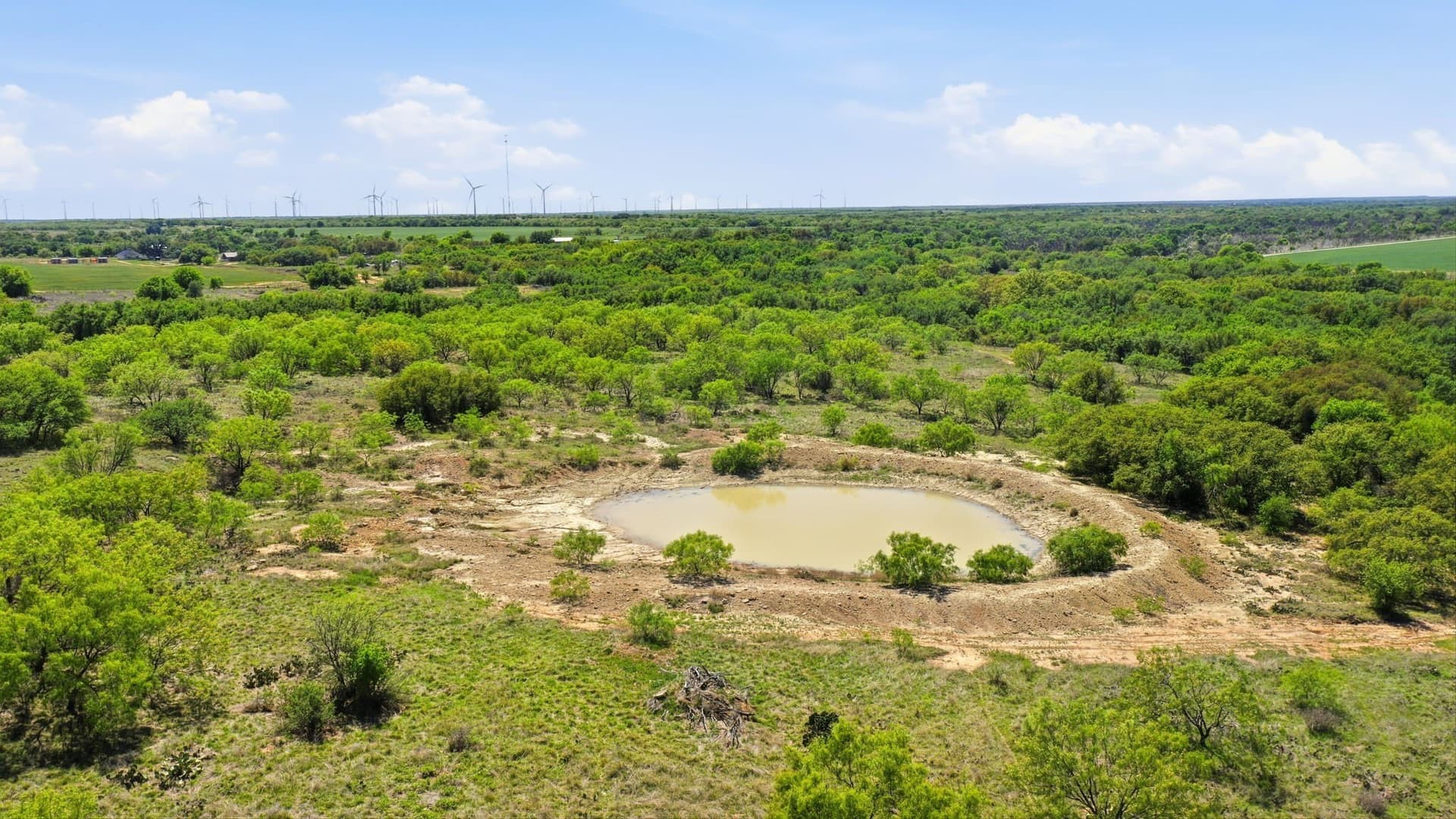 292 acres in Young County - photo 6