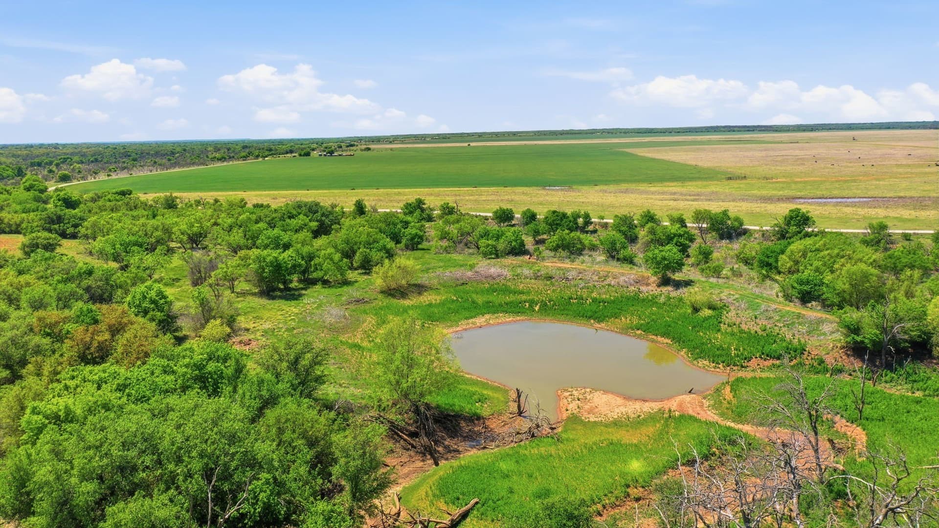 292 acres in Young County - photo 7