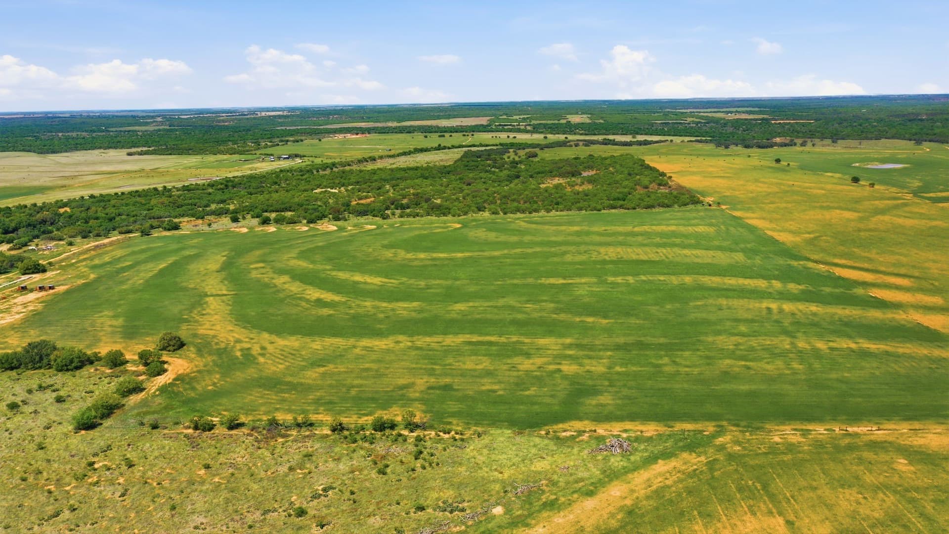 292 acres in Young County - photo 14