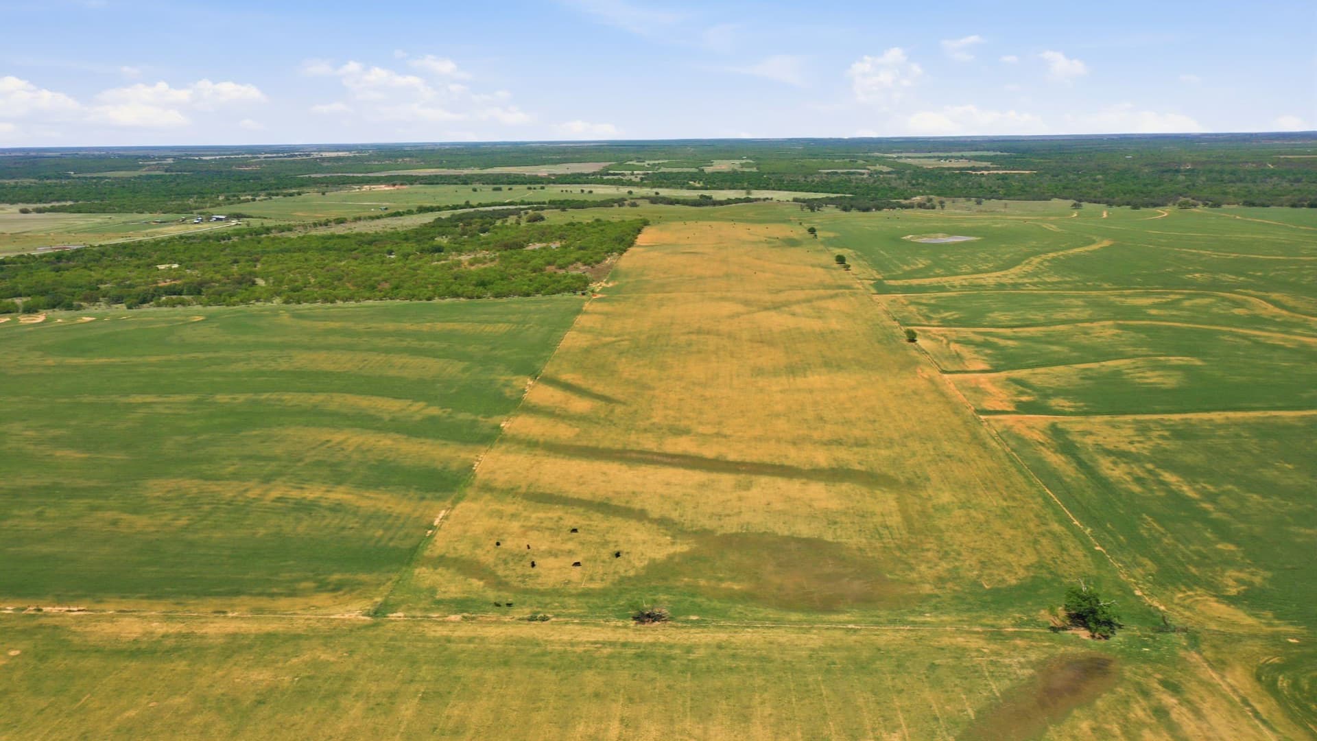 292 acres in Young County - photo 12