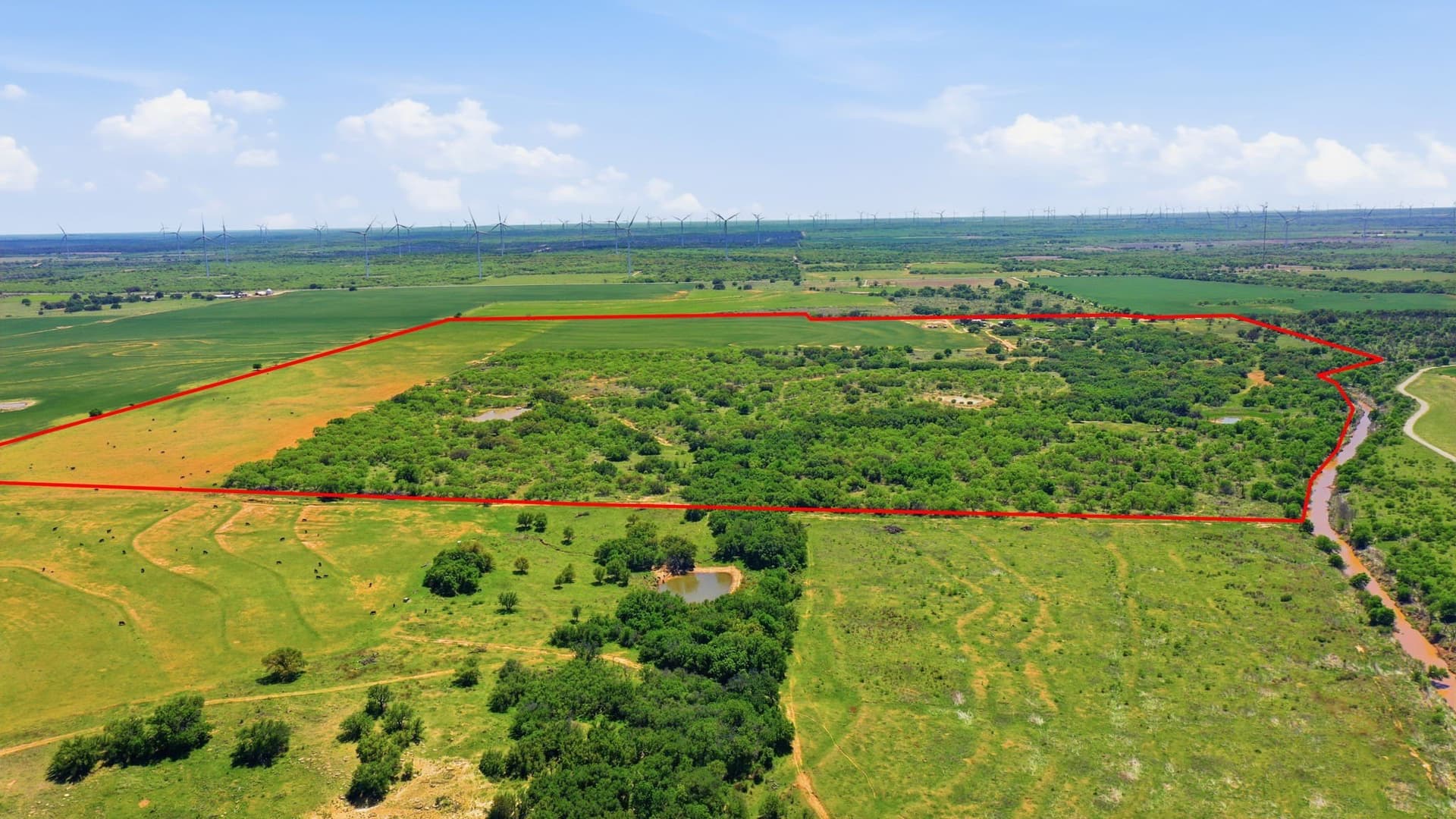 292 acres in Young County - photo 2