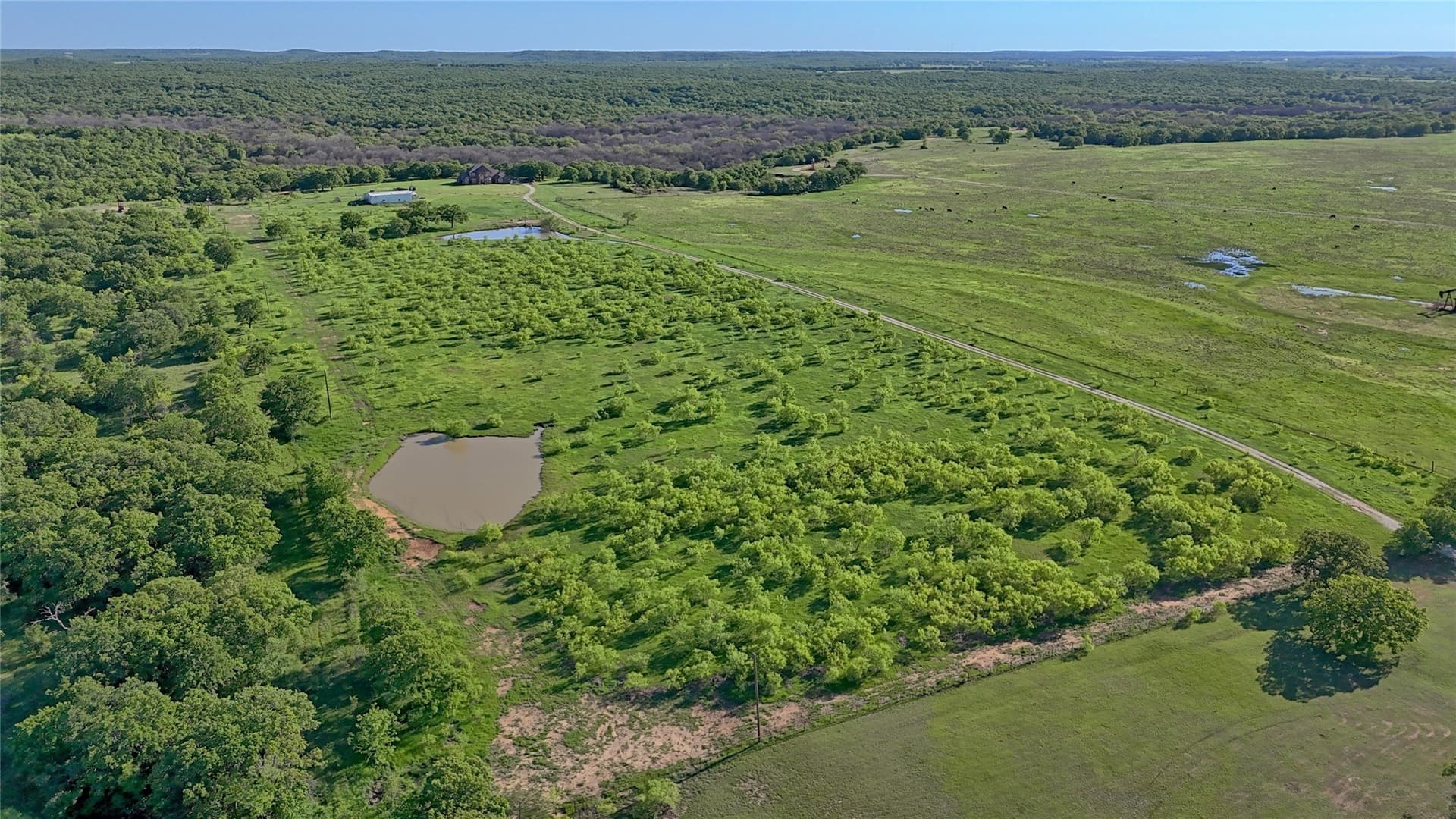 20 acres in Montague County - photo 27