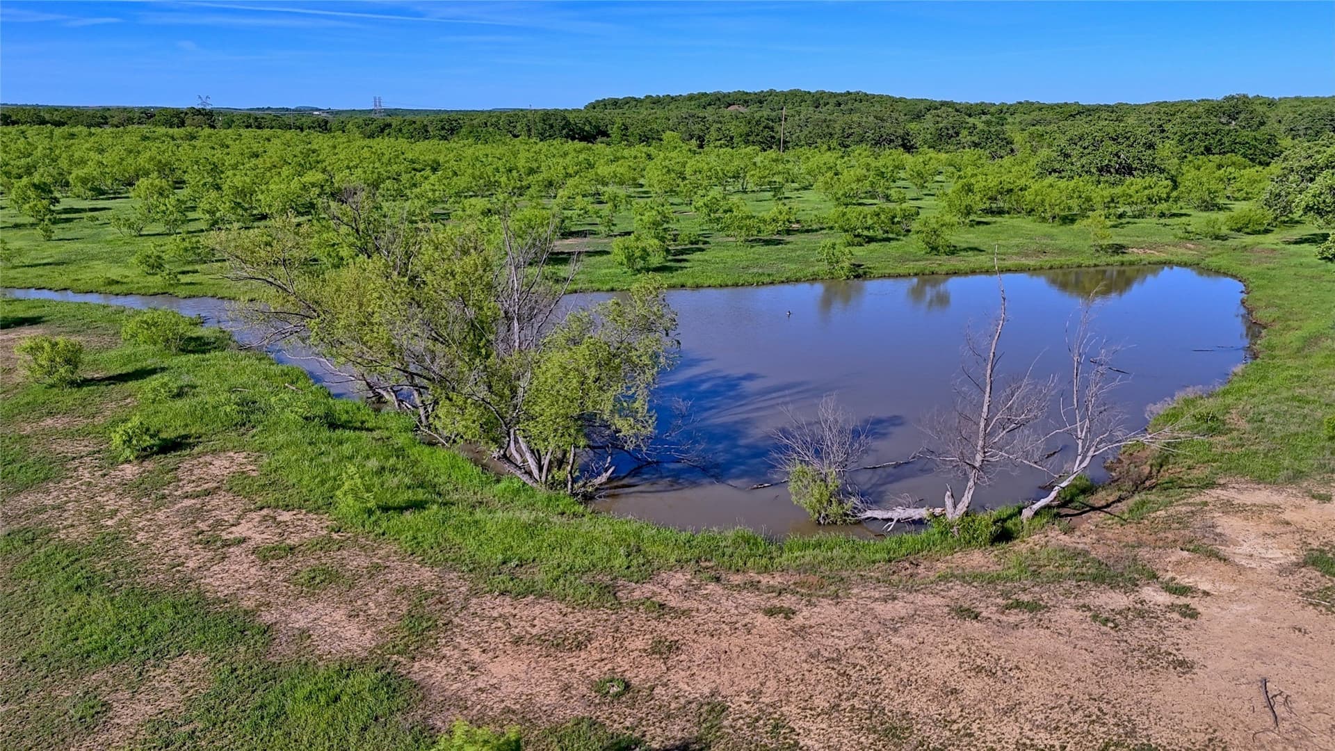 20 acres in Montague County - photo 22
