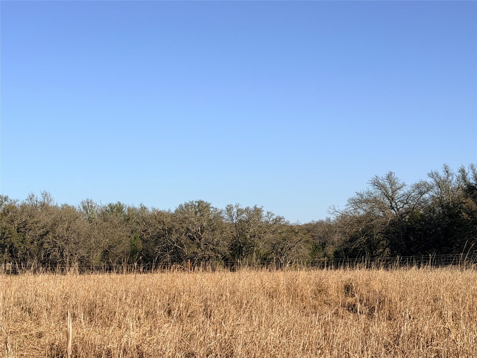 33.32 acres in Mills County - photo 31