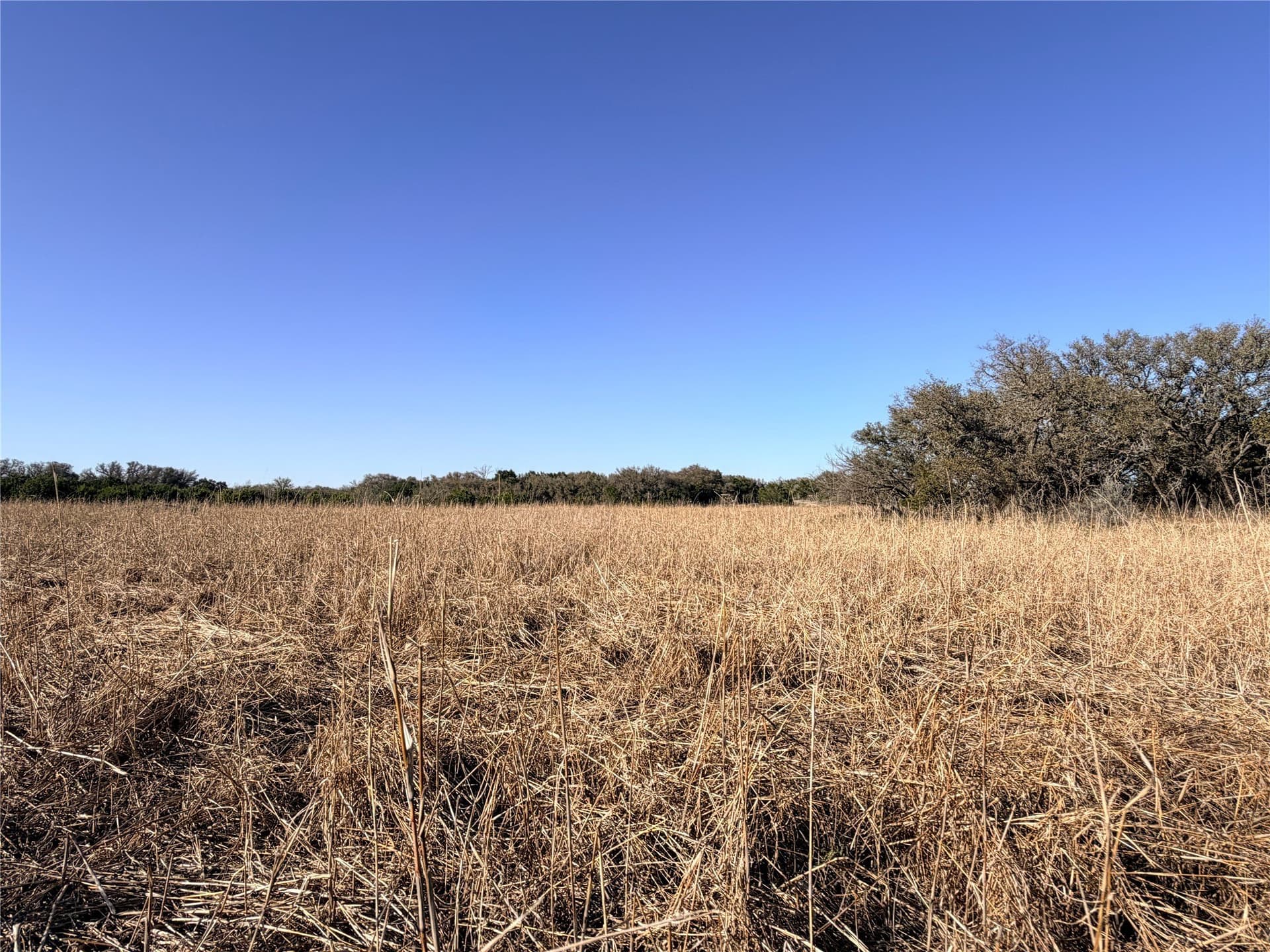33.32 acres in Mills County - photo 27
