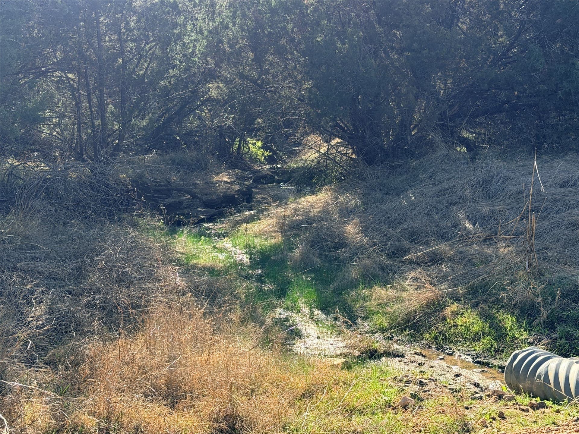 33.32 acres in Mills County - photo 12