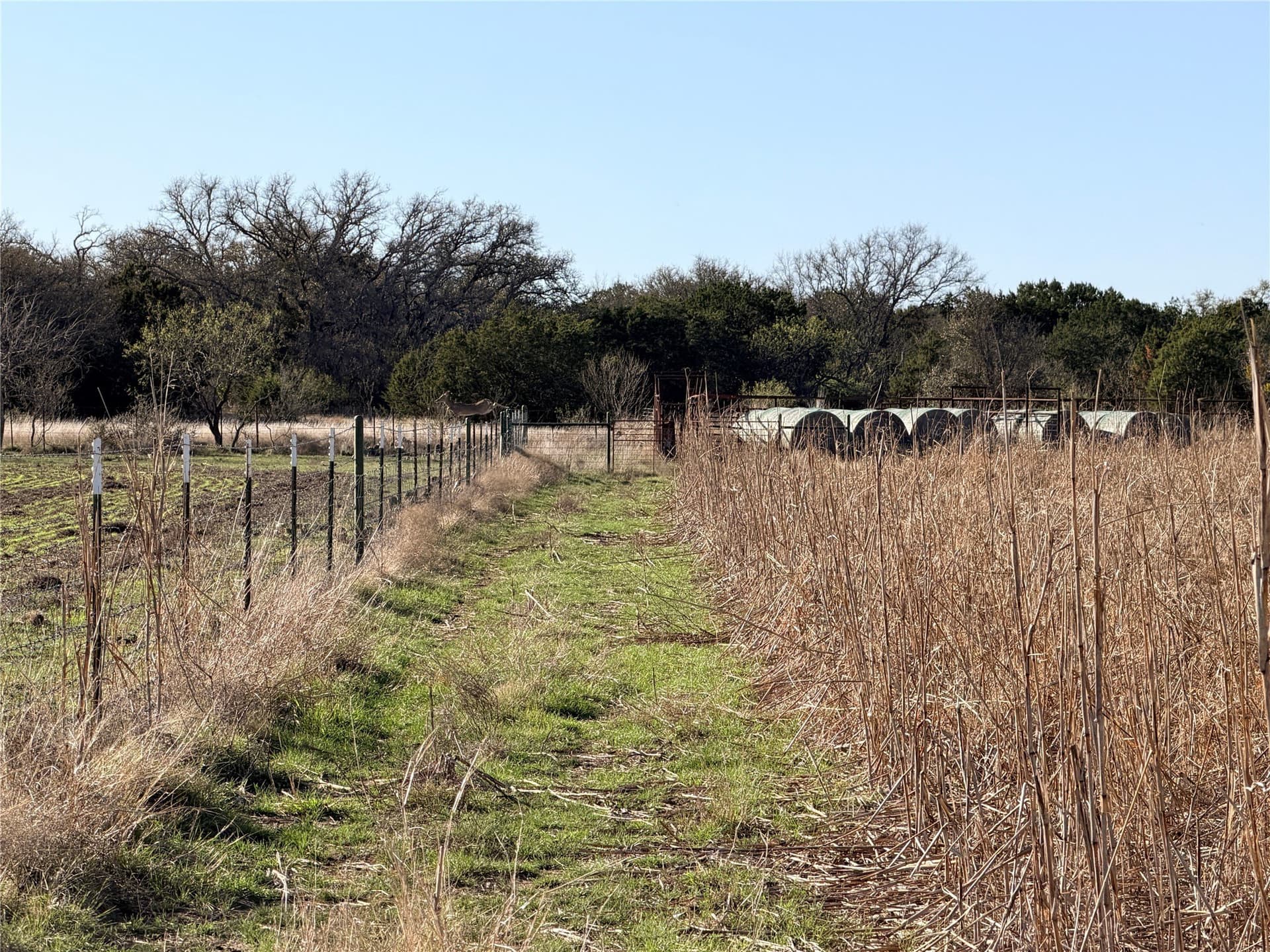 33.32 acres in Mills County - photo 26