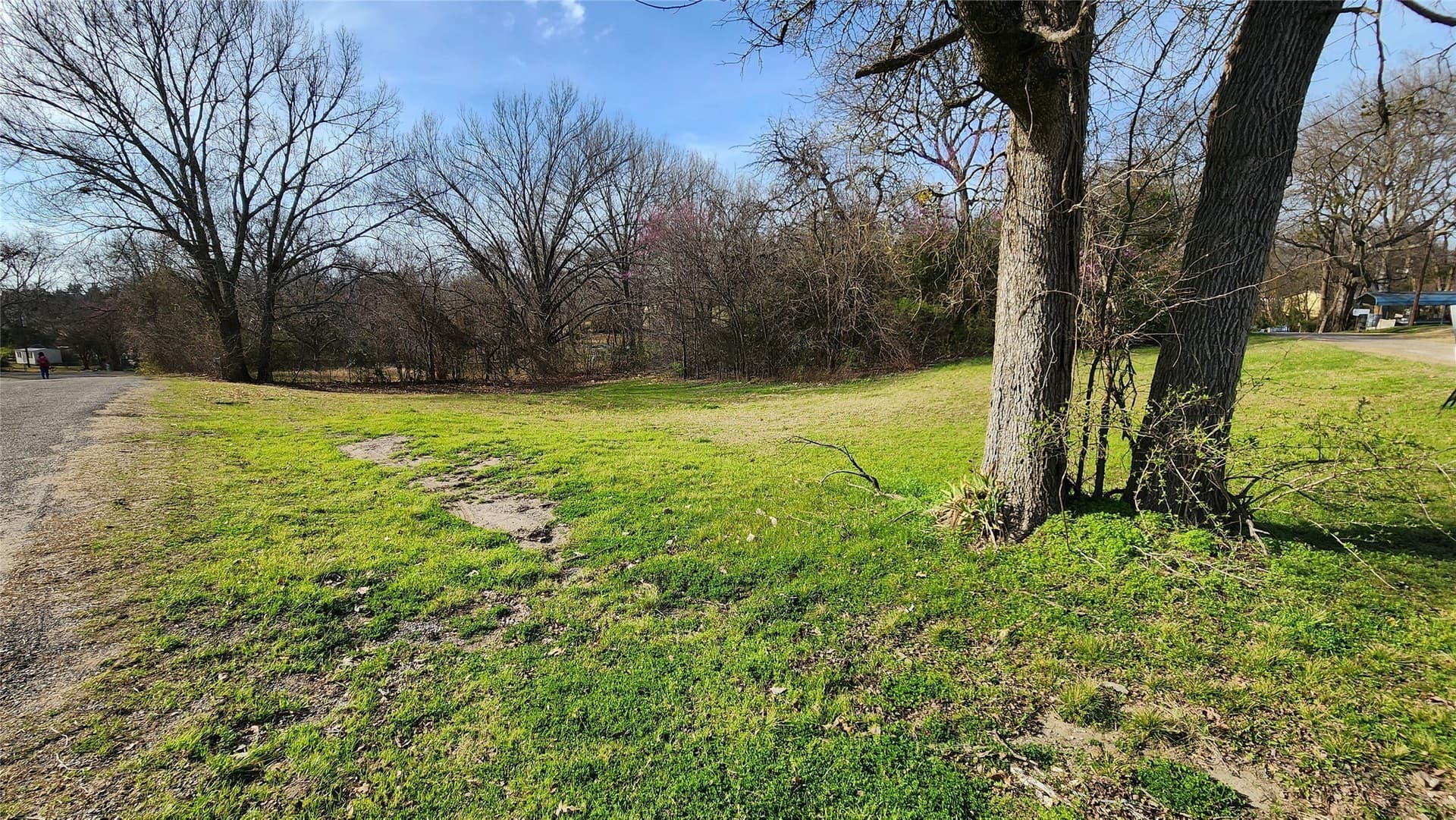 0.17 acres in Rains County gallery image 3