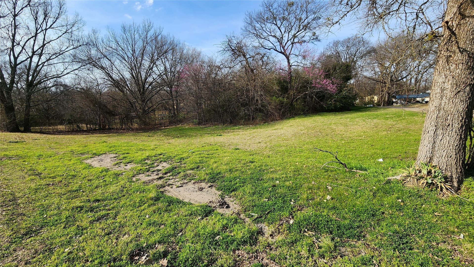 0.17 acres in Rains County - photo 6