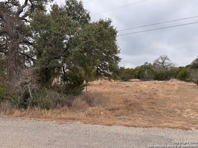 0.32 acres in Blanco County gallery image 2