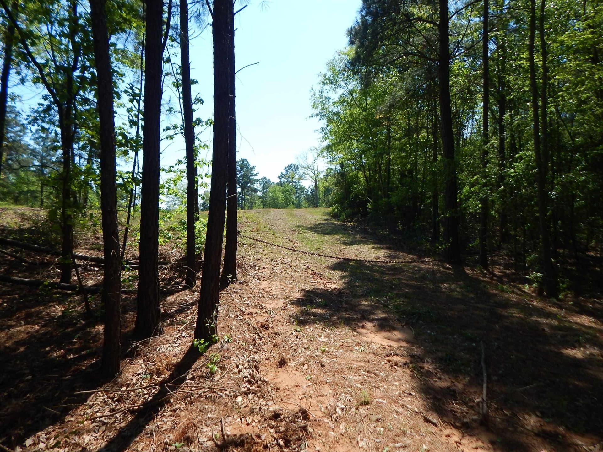 15 acres in Upshur County - photo 8