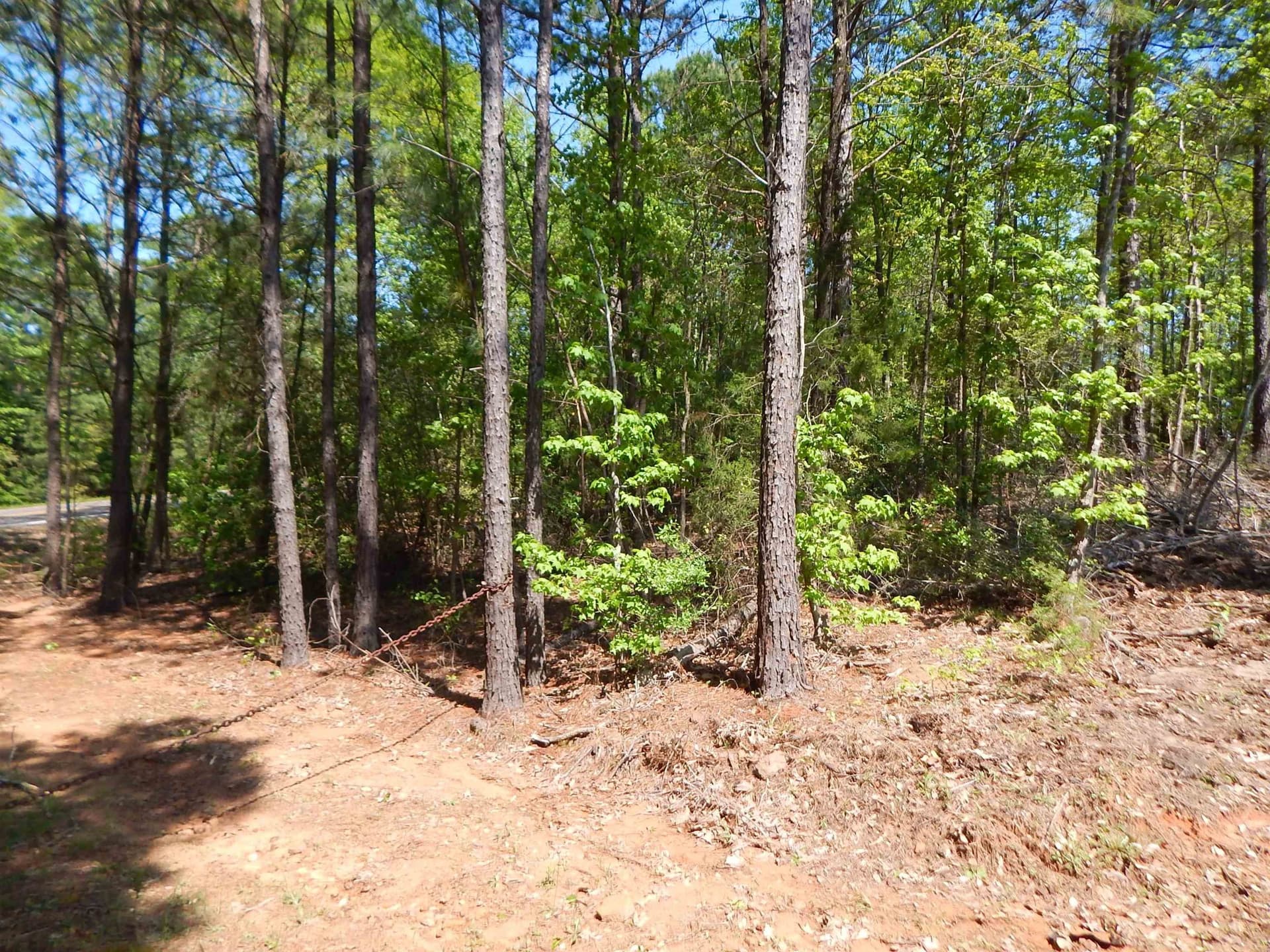 15 acres in Upshur County gallery image 3