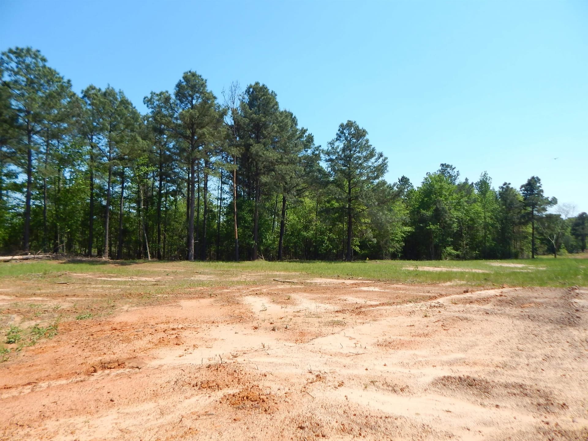 15 acres in Upshur County - photo 6