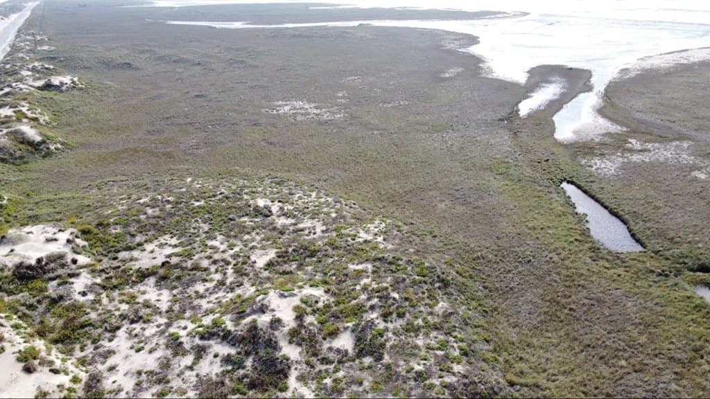 0 acres in Cameron County featured view