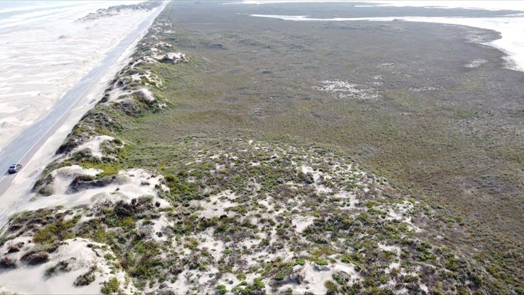 0 acres in Cameron County gallery image 4