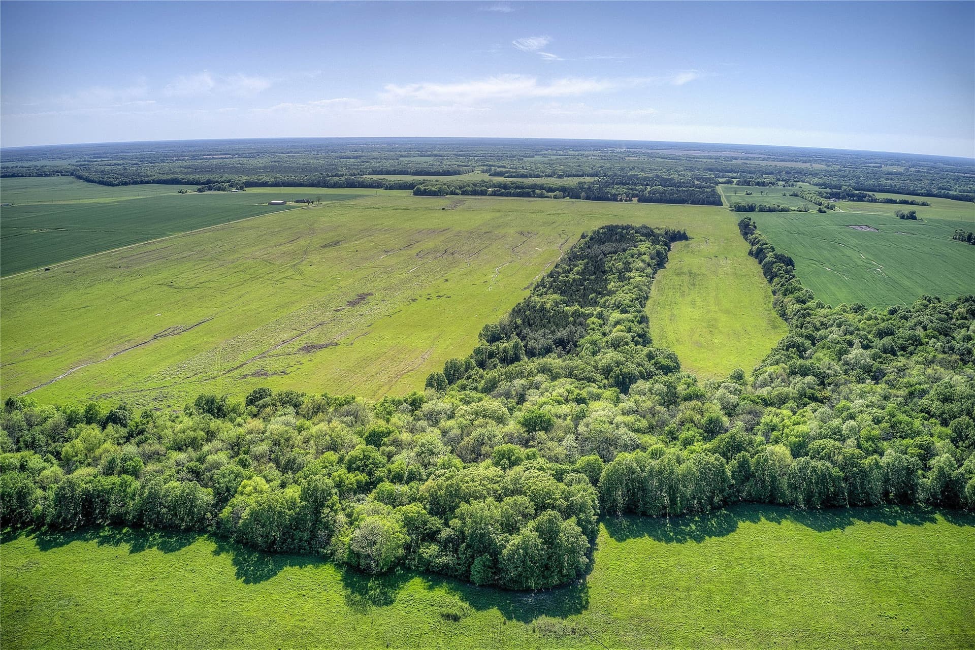 216.56 acres in Red River (TX) County - photo 6