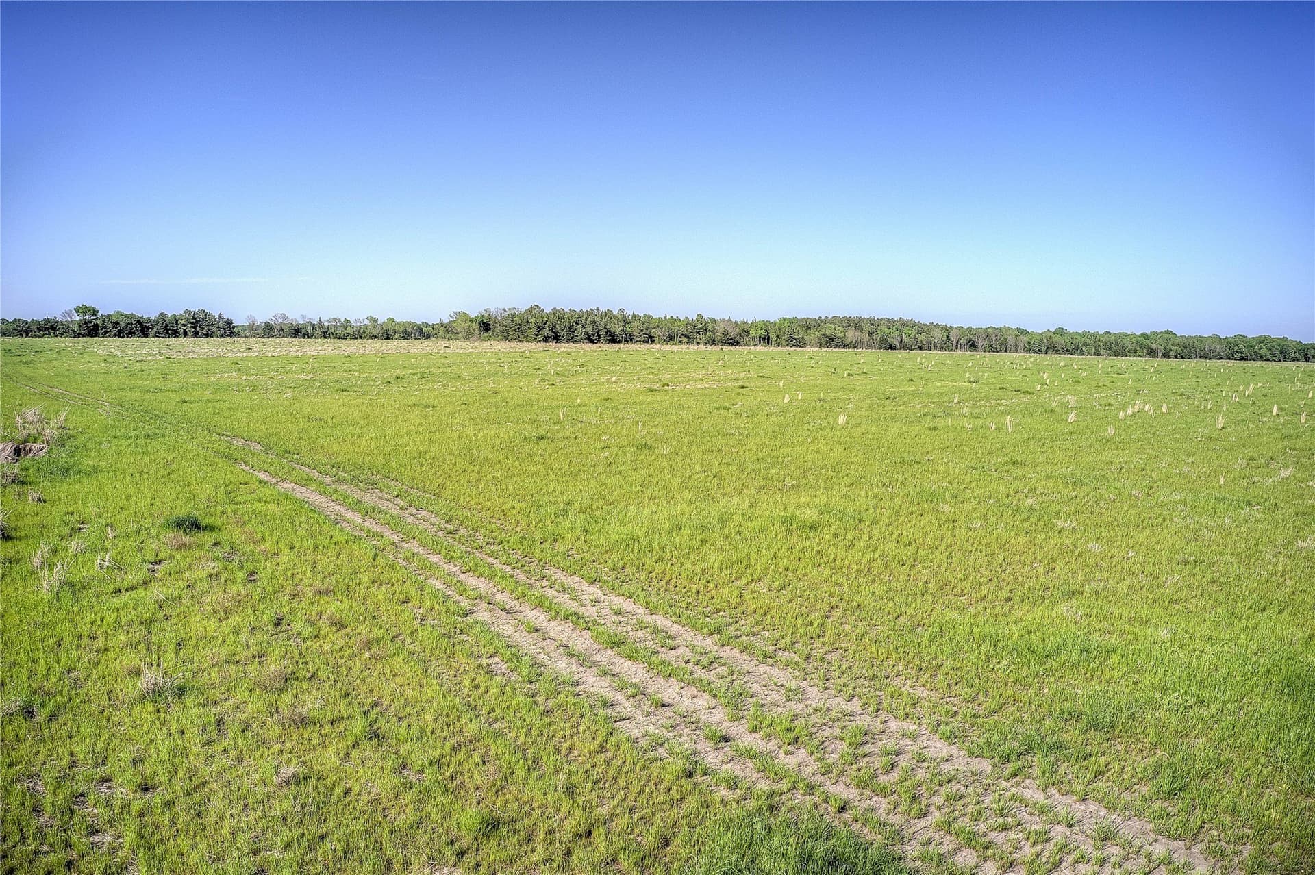 216.56 acres in Red River (TX) County - photo 10