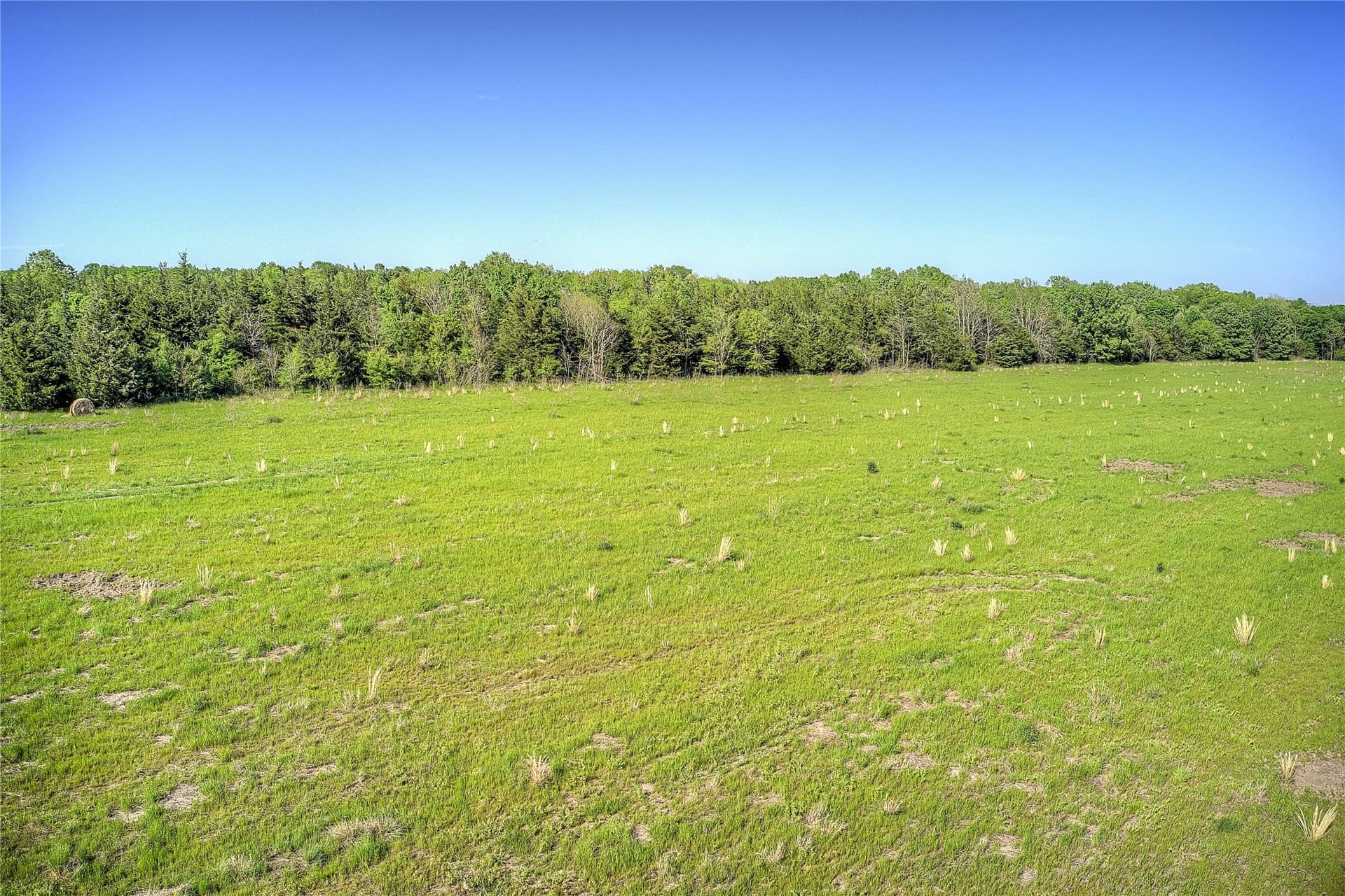 216.56 acres in Red River (TX) County - photo 8