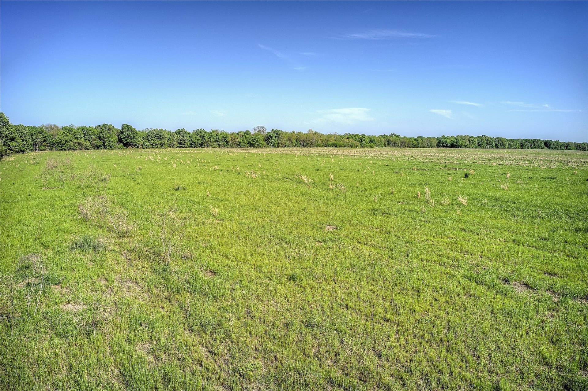 216.56 acres in Red River (TX) County - photo 9