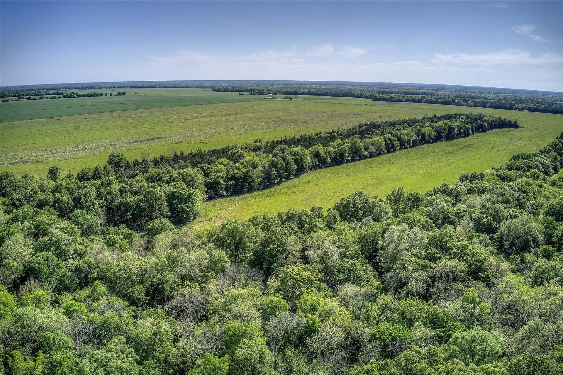 216.56 acres in Red River (TX) County - photo 7