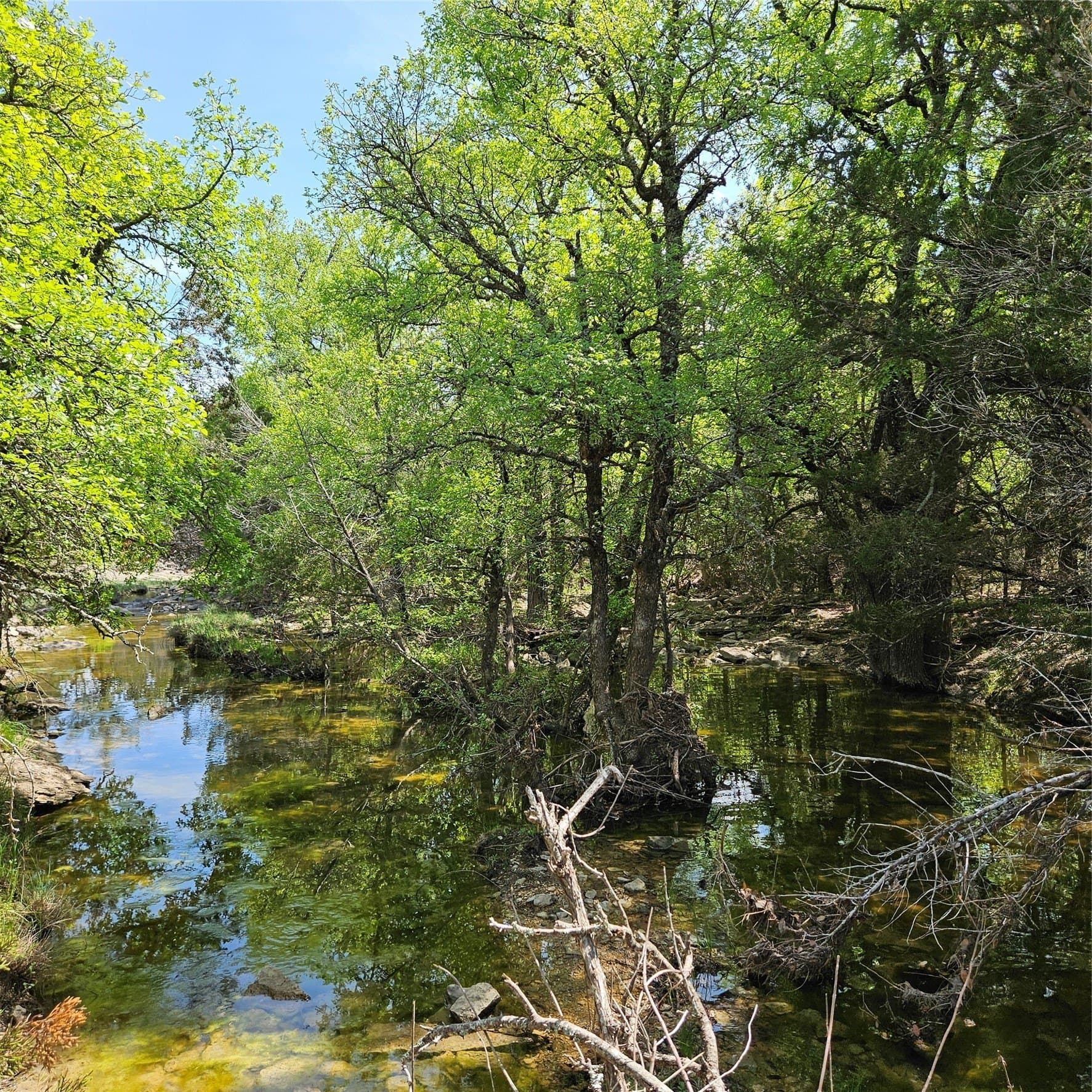 100 acres in Hamilton County - photo 38
