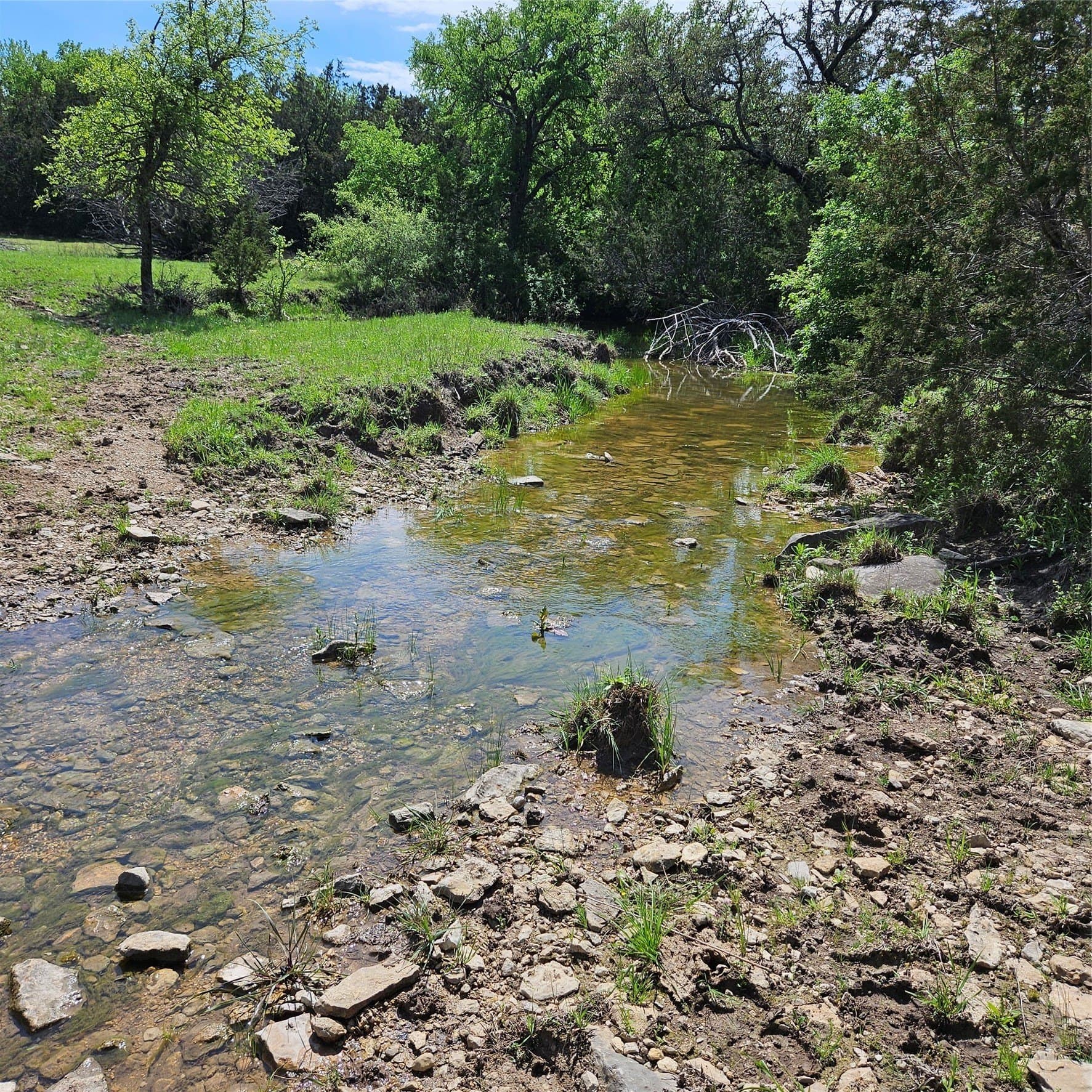 100 acres in Hamilton County - photo 40