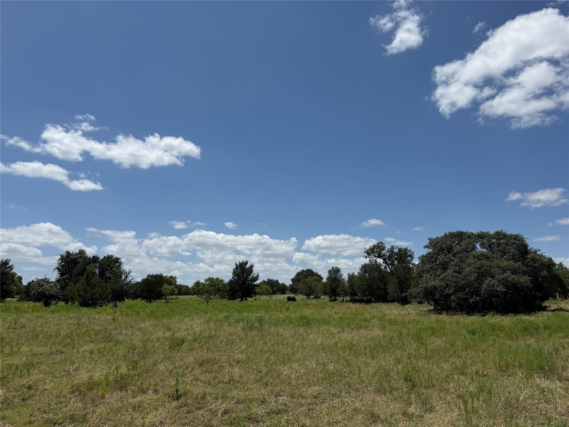 100 acres in Hamilton County - photo 31