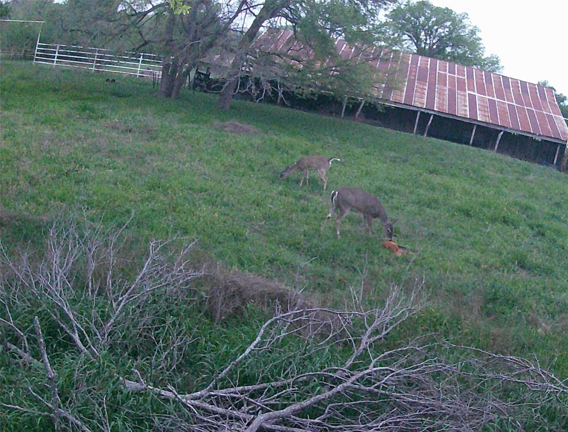 100 acres in Hamilton County - photo 36
