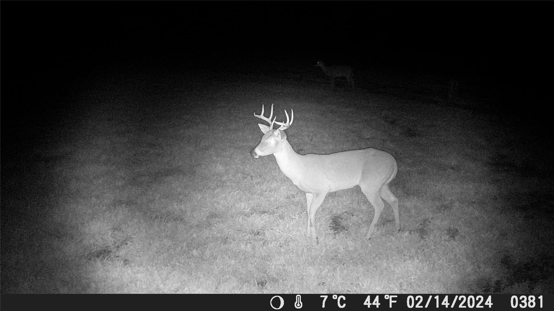 100 acres in Hamilton County - photo 35