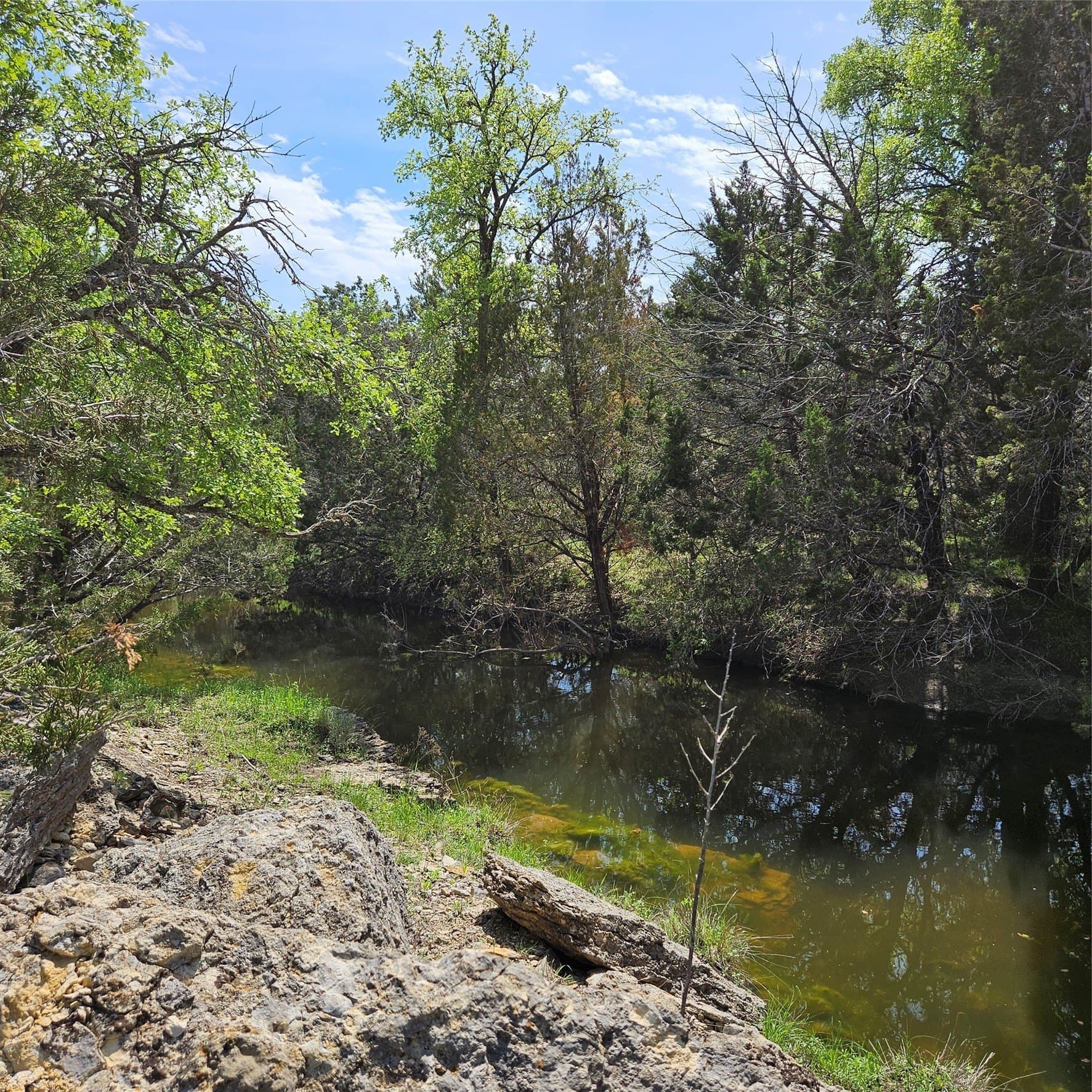 100 acres in Hamilton County - photo 39