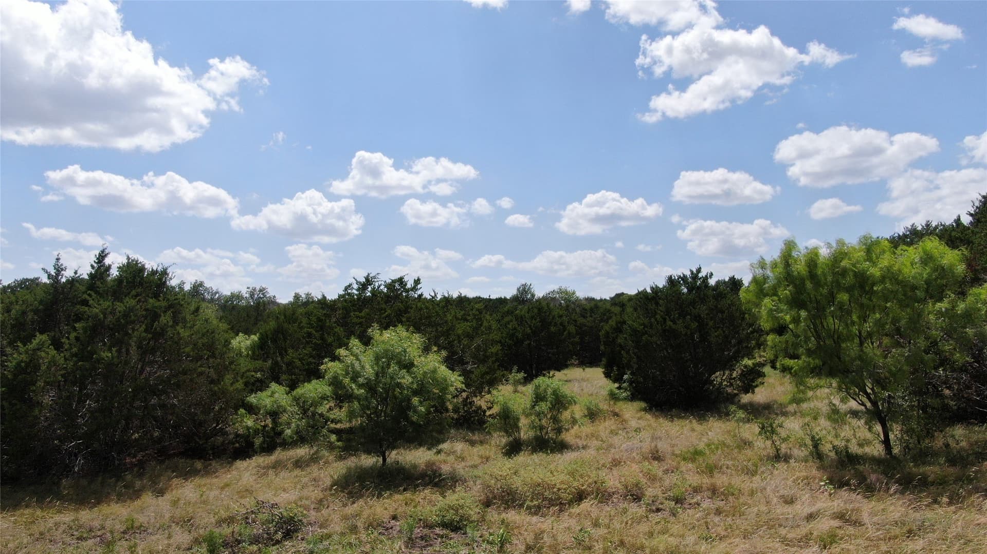 100 acres in Hamilton County - photo 11