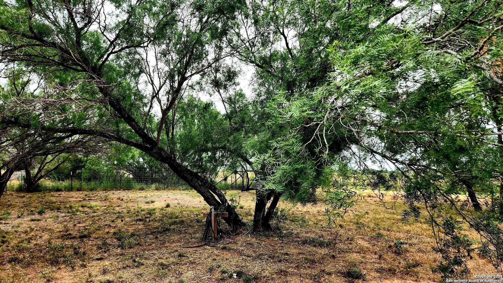 2 acres in Frio County - photo 20