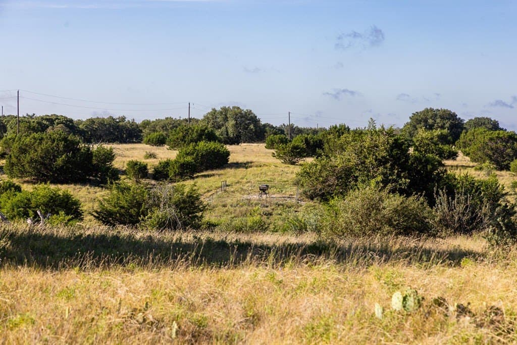 38.33 acres in Kimble County gallery image 4