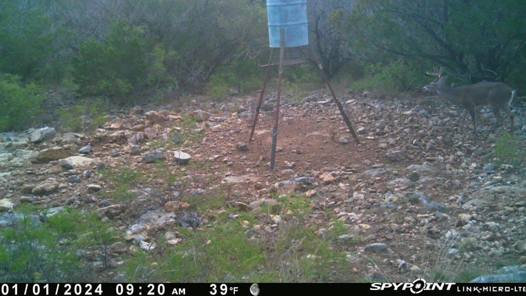 53.1 acres in Uvalde County gallery image 2