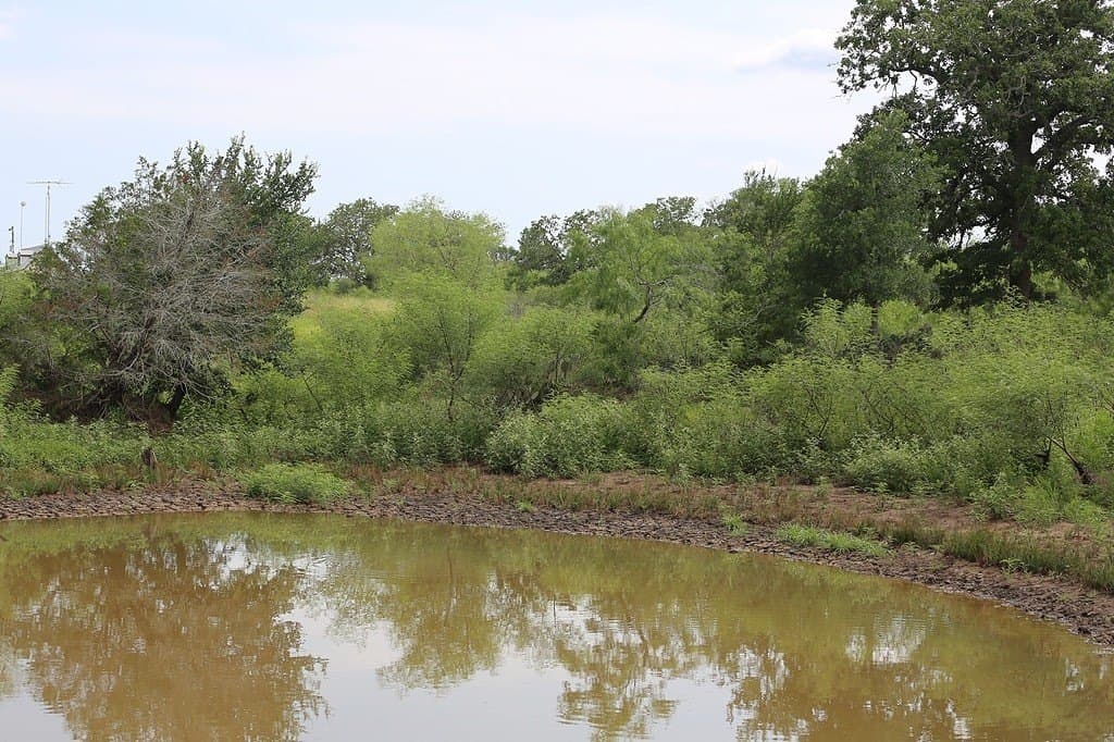 50 acres in Gonzales County featured view