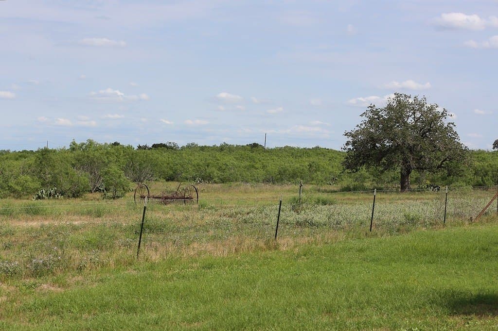50 acres in Gonzales County
