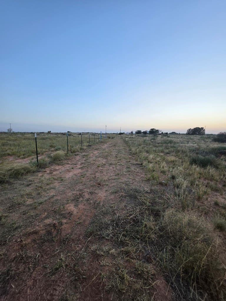 1 acres in Midland County featured view