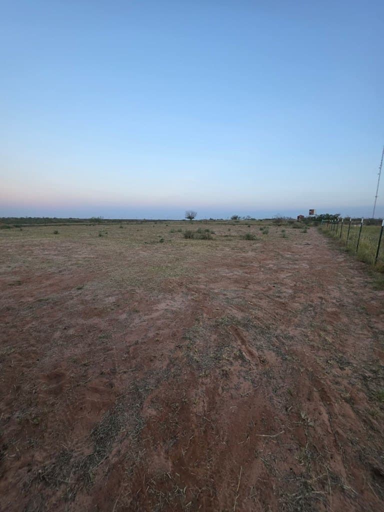 1 acres in Midland County - photo 6
