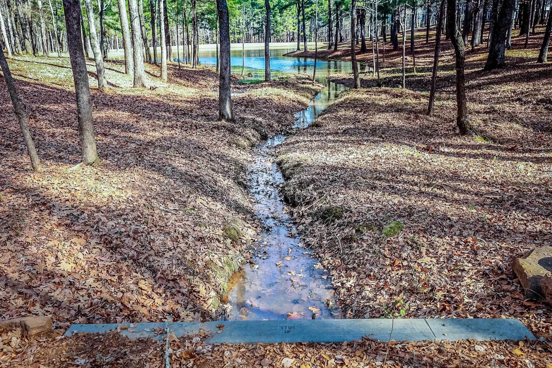 30 acres in Marion County - photo 45