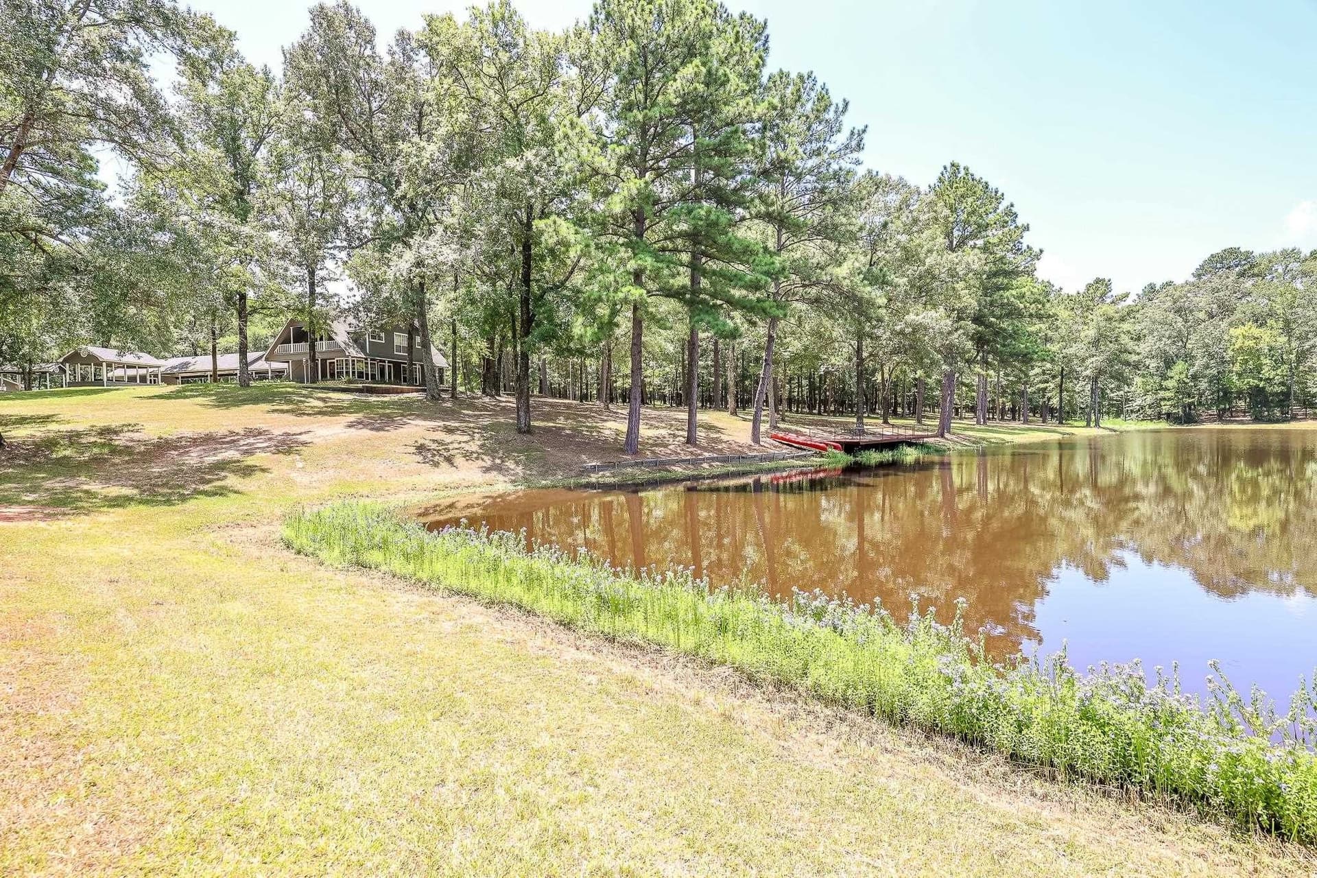 30 acres in Marion County - photo 8