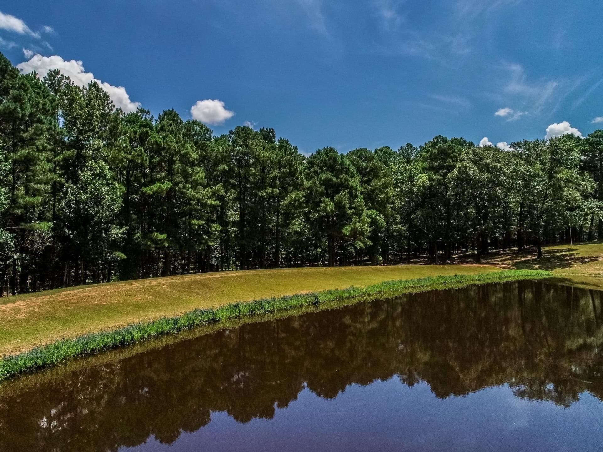 30 acres in Marion County - photo 48