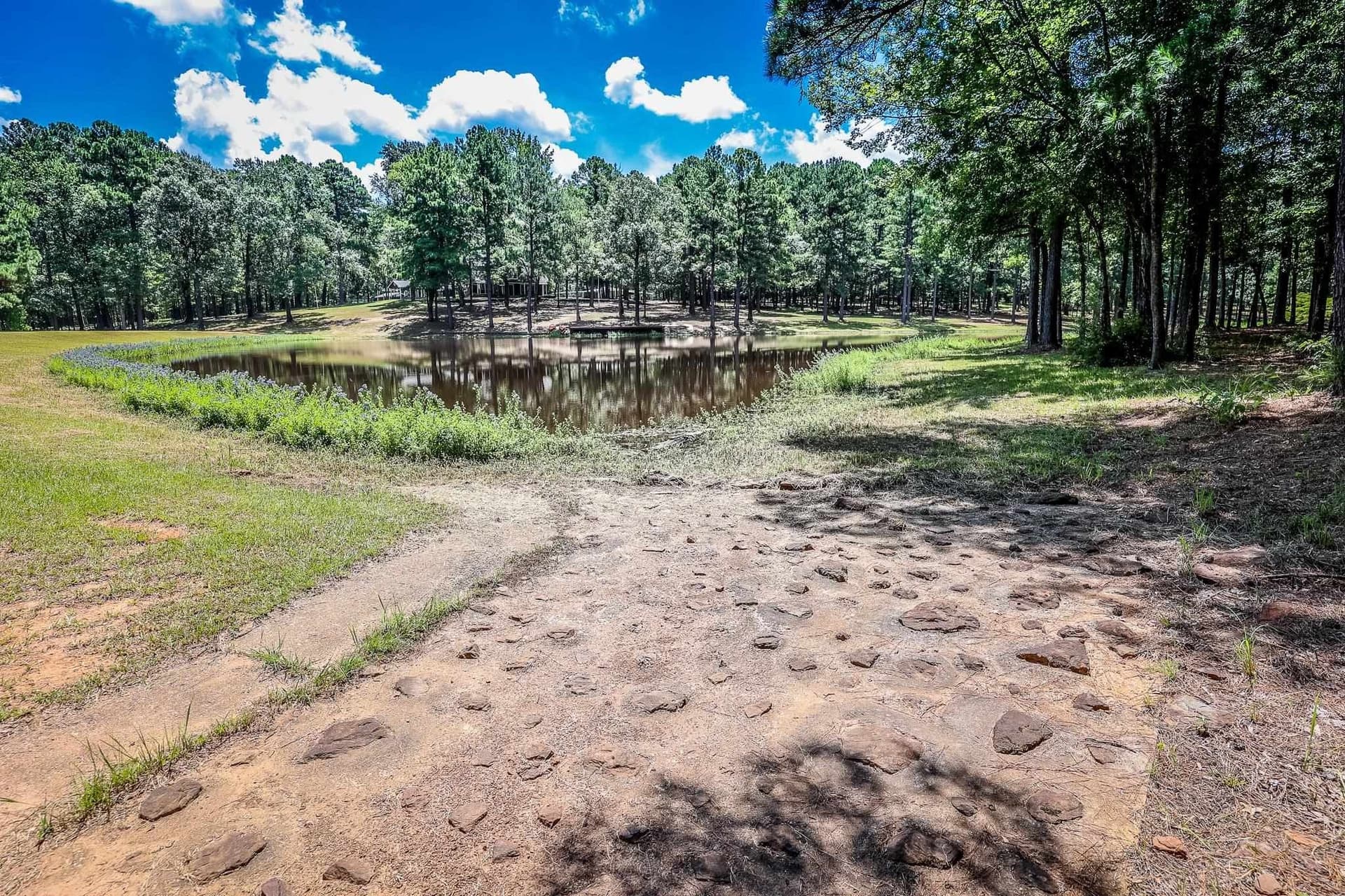 30 acres in Marion County - photo 44