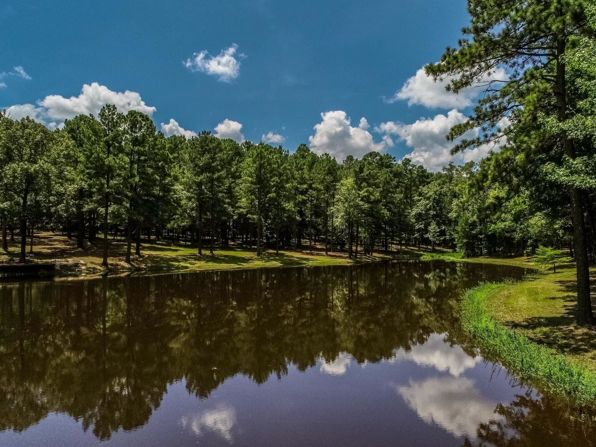 30 acres in Marion County - photo 47