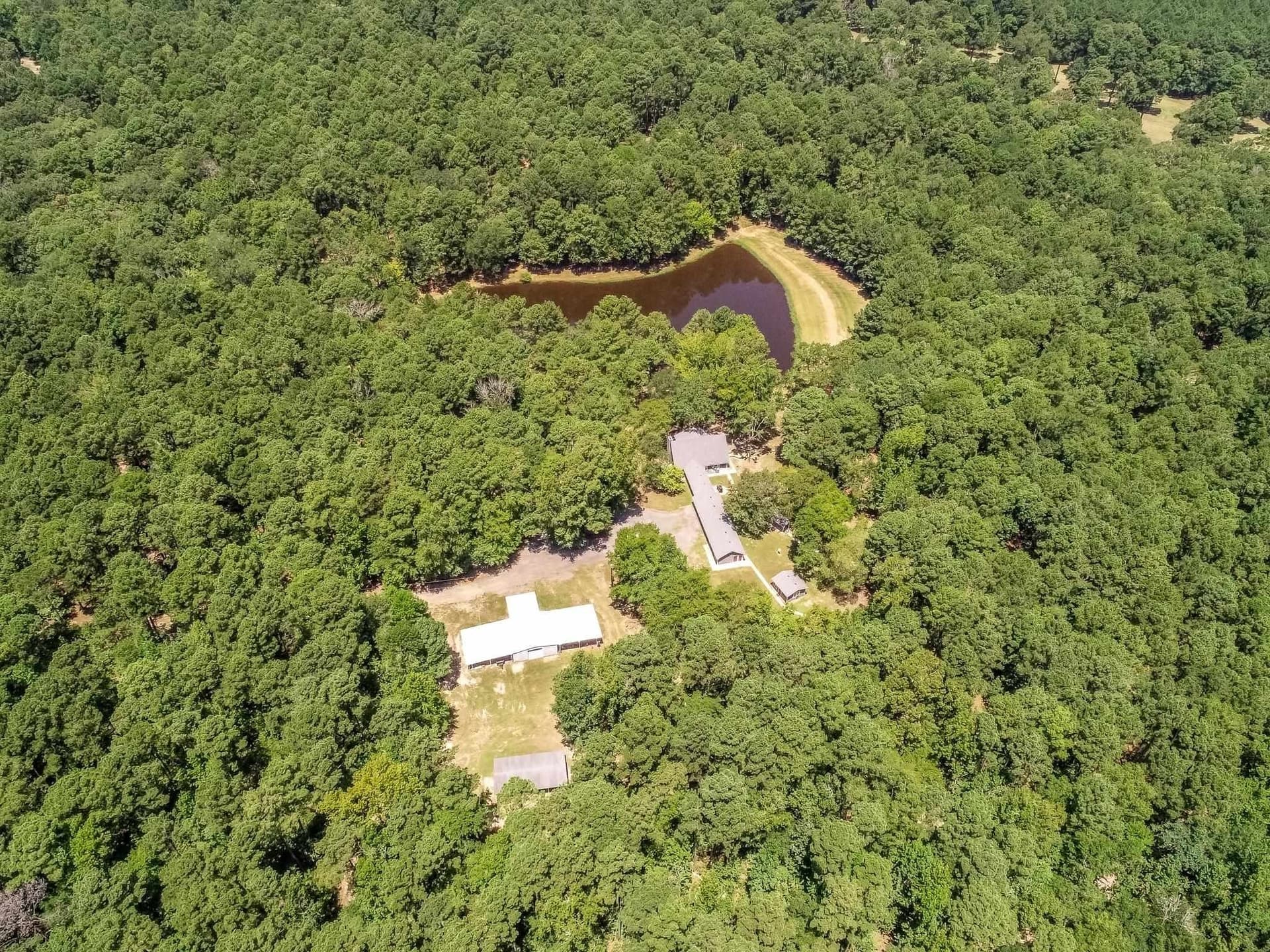 30 acres in Marion County - photo 9