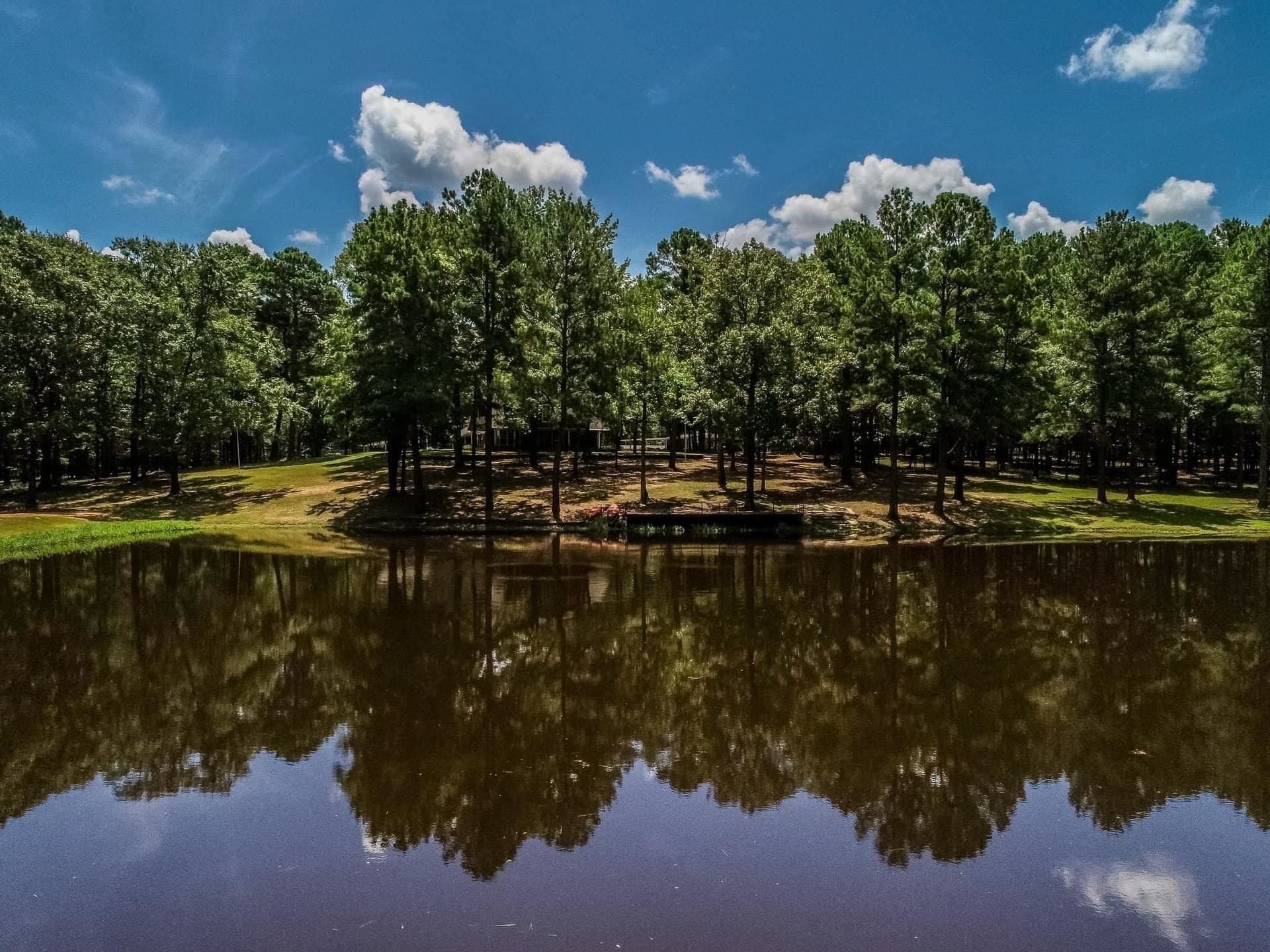 30 acres in Marion County - photo 46