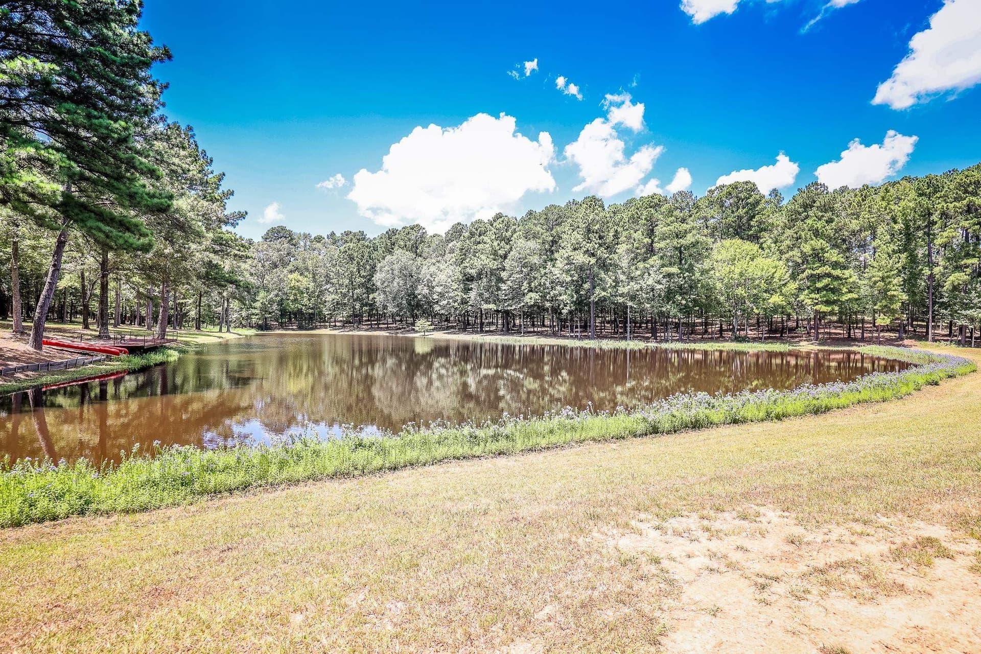 30 acres in Marion County - photo 43