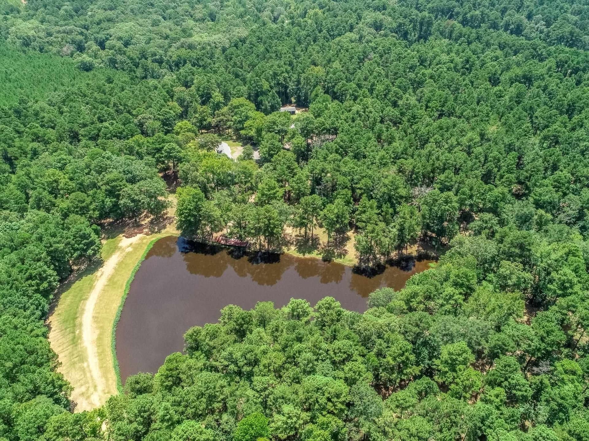 30 acres in Marion County - photo 49